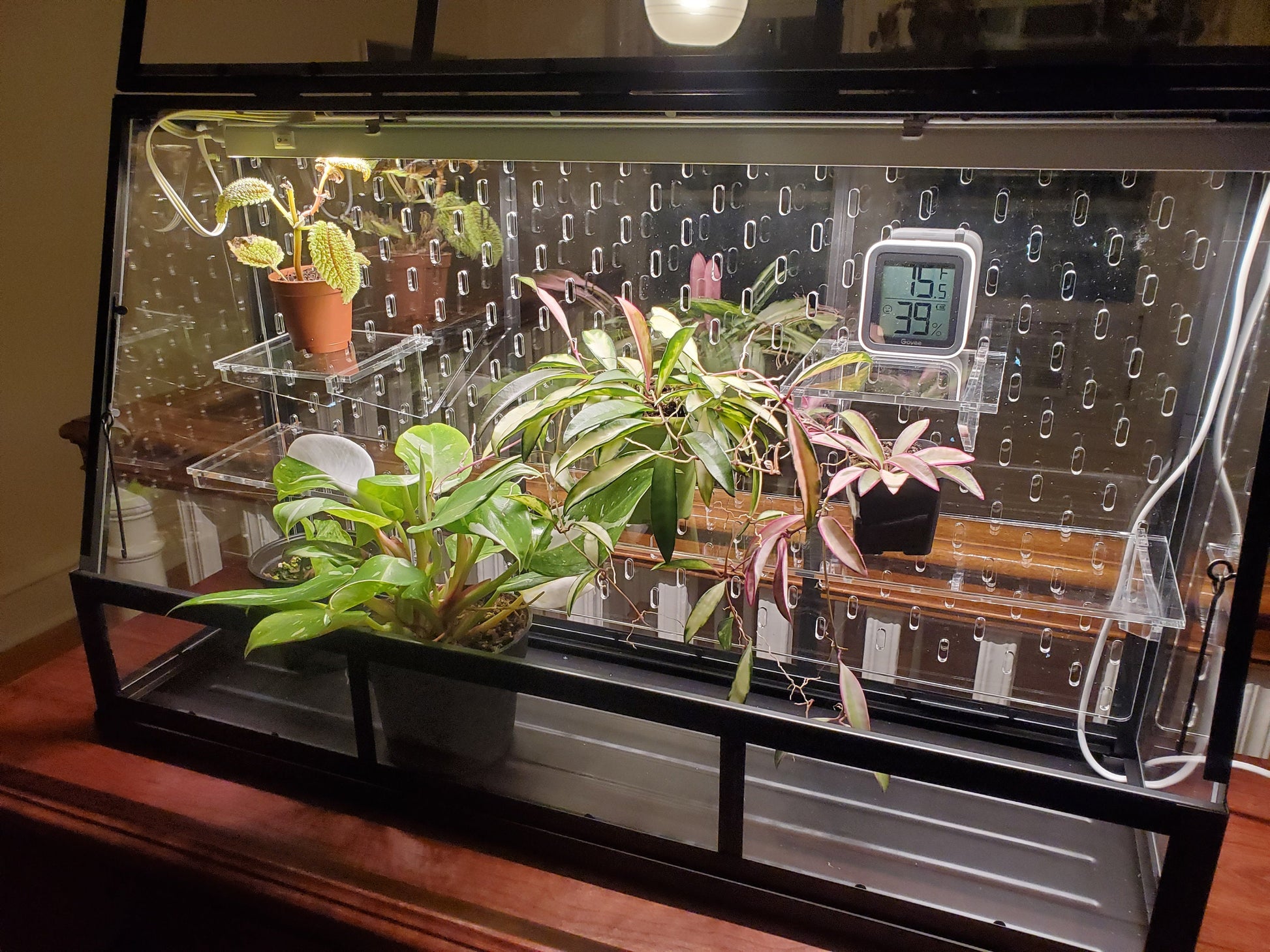Akerbar Large Pegboard and Shelf Acrylic Kit - Ikea Greenhouse - SKADIS - 25" model