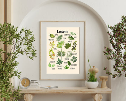 Insects Educational Poster, Flowers Poster, Printable Wall Art, Nature Learning Poster, Montessori, Homeschool, Classroom, Forest School