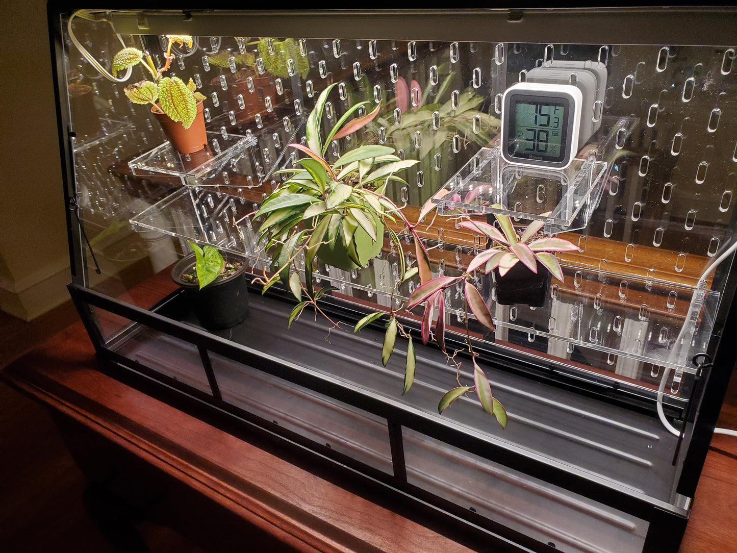 Akerbar Large Pegboard and Shelf Acrylic Kit - Ikea Greenhouse - SKADIS - 25" model