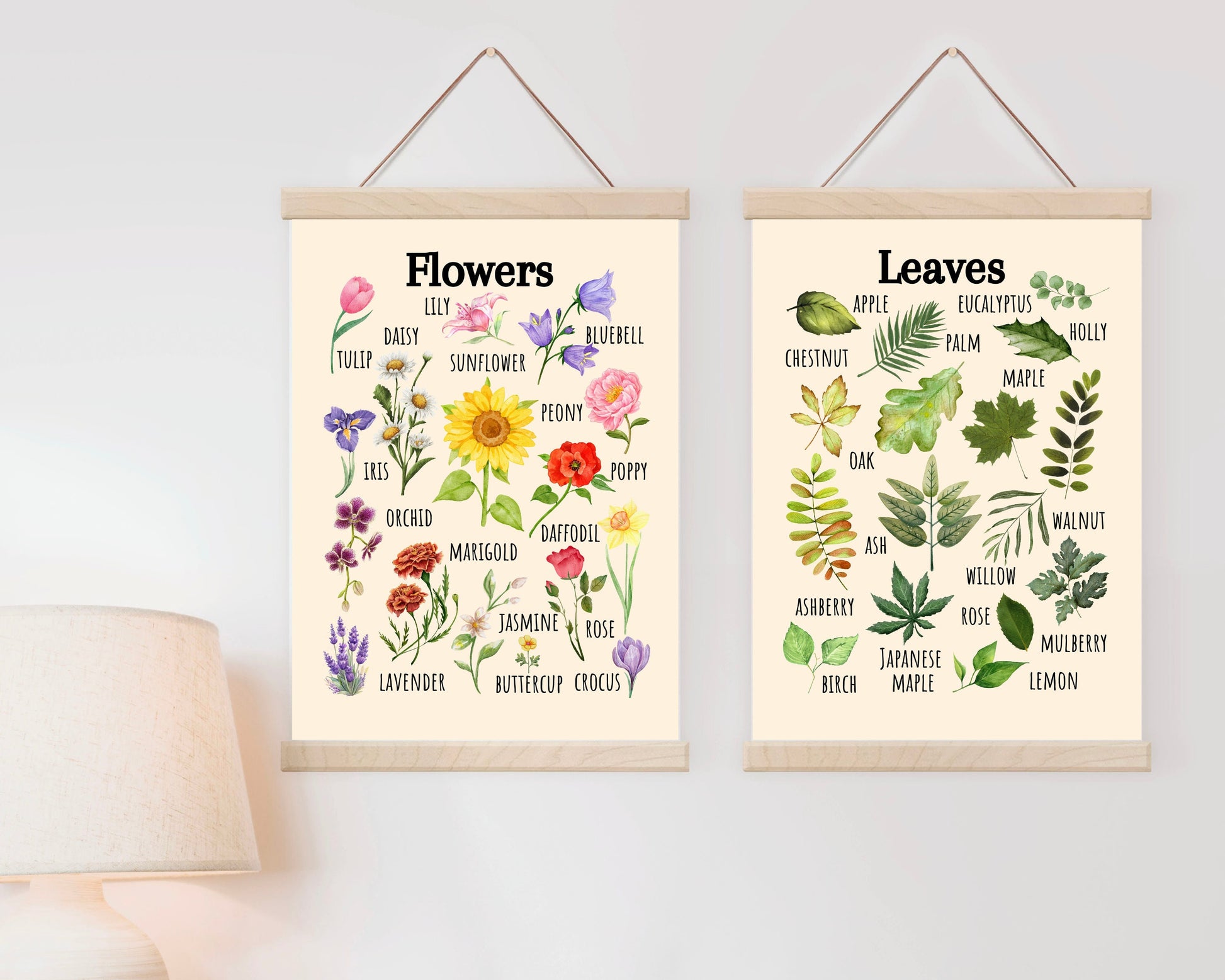 Insects Educational Poster, Flowers Poster, Printable Wall Art, Nature Learning Poster, Montessori, Homeschool, Classroom, Forest School