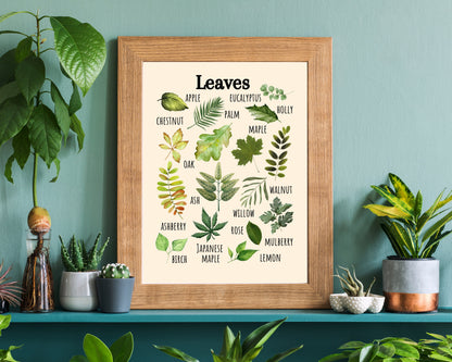 Insects Educational Poster, Flowers Poster, Printable Wall Art, Nature Learning Poster, Montessori, Homeschool, Classroom, Forest School