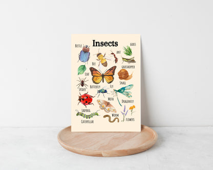 Insects Educational Poster, Flowers Poster, Printable Wall Art, Nature Learning Poster, Montessori, Homeschool, Classroom, Forest School