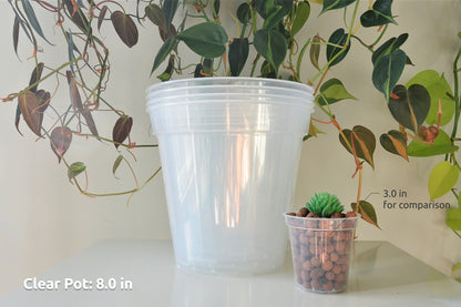 6", 7", 8", 9", 10", 12" Clear Nursery Pots Plastic Round Transparent Planter with Drainage for Indoor Plants Alocasia Hoya Monstera Philo