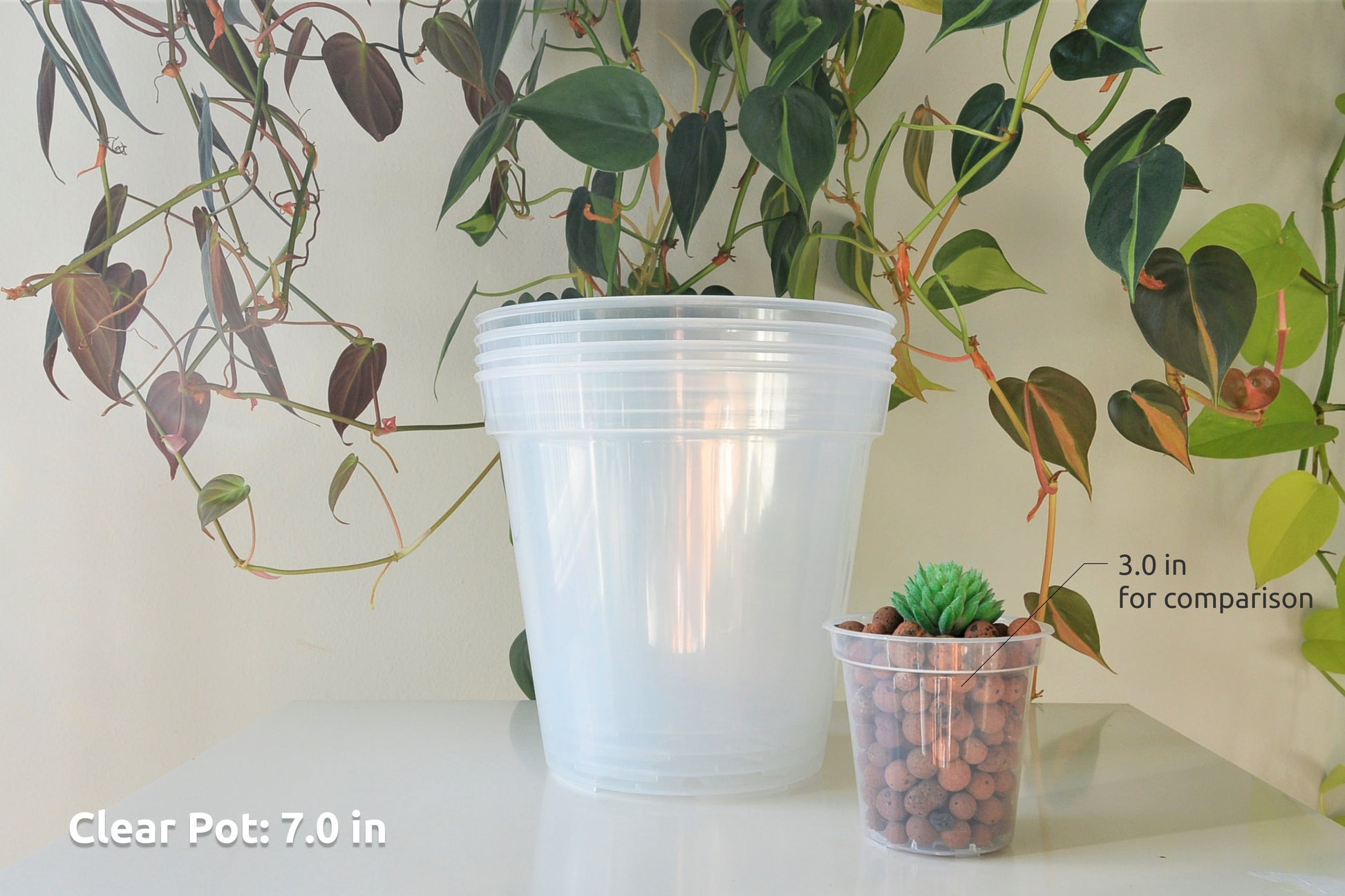6", 7", 8", 9", 10", 12" Clear Nursery Pots Plastic Round Transparent Planter with Drainage for Indoor Plants Alocasia Hoya Monstera Philo