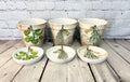 Handcrafted Terracotta pots with Herb inspired decoupage design