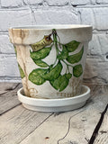 Handcrafted Terracotta pots with Herb inspired decoupage design