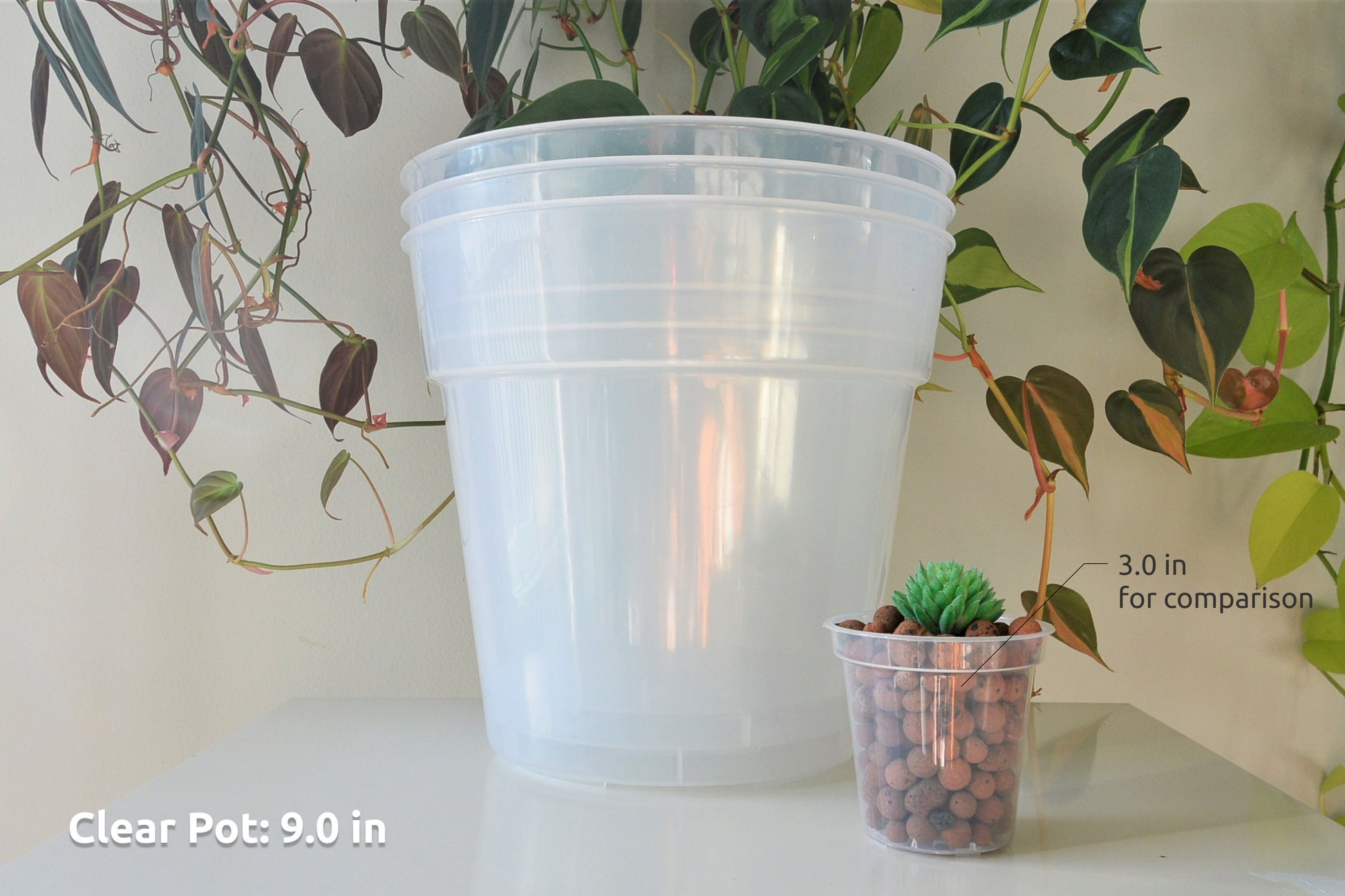 6", 7", 8", 9", 10", 12" Clear Nursery Pots Plastic Round Transparent Planter with Drainage for Indoor Plants Alocasia Hoya Monstera Philo