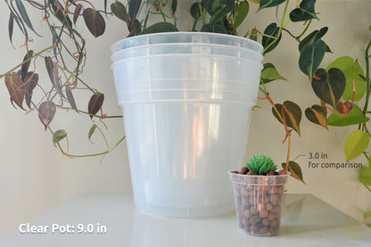 6", 7", 8", 9", 10", 12" Clear Nursery Pots Plastic Round Transparent Planter with Drainage for Indoor Plants Alocasia Hoya Monstera Philo