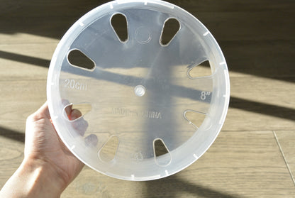 6", 7", 8", 9", 10", 12" Clear Nursery Pots Plastic Round Transparent Planter with Drainage for Indoor Plants Alocasia Hoya Monstera Philo