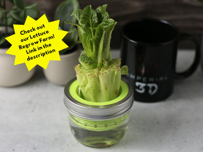 Floating Avocado Seed Grower | 2 Piece 3D Print Avocado Boat | Propagation Germination | Kitchen Hydroponics | Kratky | Indoor Gardening