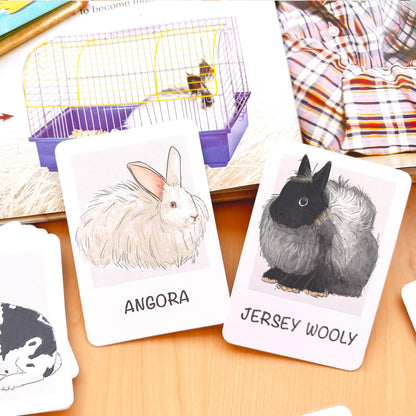 Rabbit Flash Cards Montessori Printable Homeschool Resources Nature Study Nomenclature Cards Toddler Flash Cards Preschool 3 Part Cards
