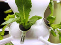 Reusable Algae Control Covers by  - Compatible with Original Farmstand and Farmstand Nook