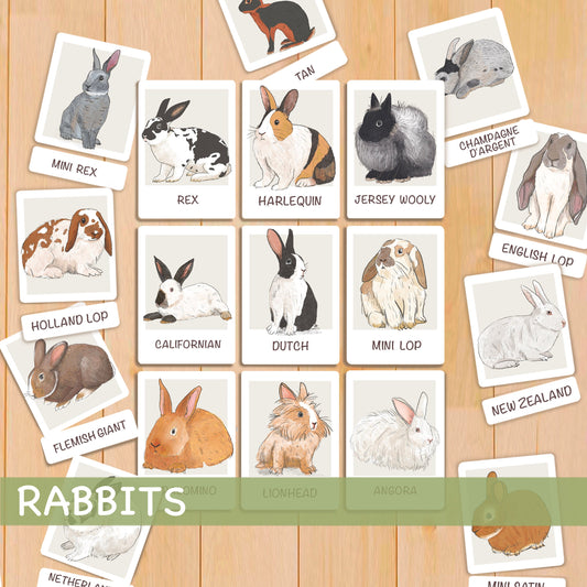 Rabbit Flash Cards Montessori Printable Homeschool Resources Nature Study Nomenclature Cards Toddler Flash Cards Preschool 3 Part Cards