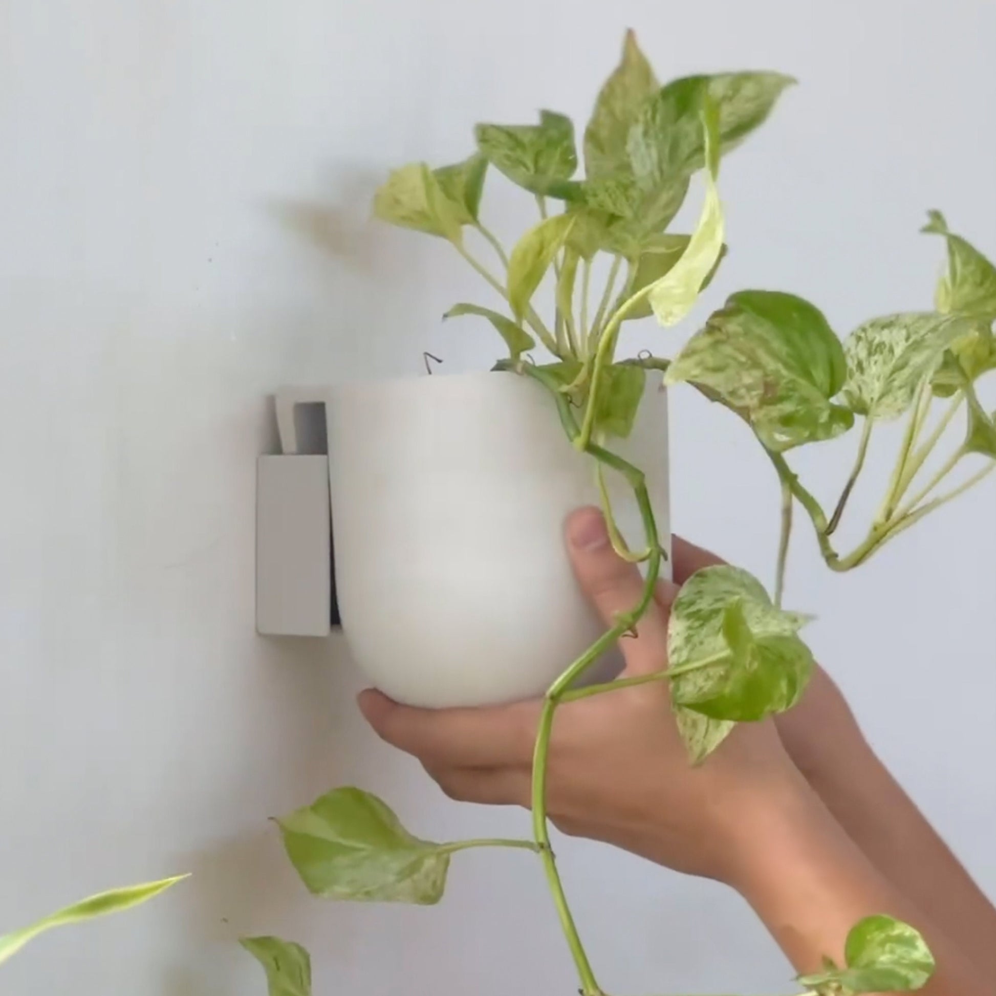 5.5" Wall Mounted Planter Pot | Mid-Century Wall Planter | Minimalist Indoor Wall Planter | Hanging Planter Pots | Upcycled Wall Planter Pot