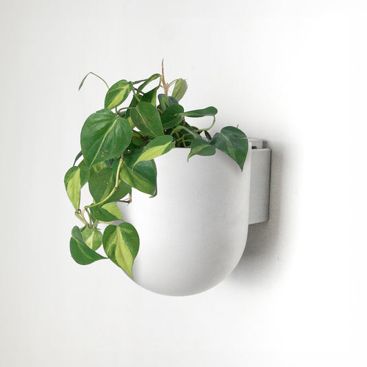 5.5" Wall Mounted Planter Pot | Mid-Century Wall Planter | Minimalist Indoor Wall Planter | Hanging Planter Pots | Upcycled Wall Planter Pot