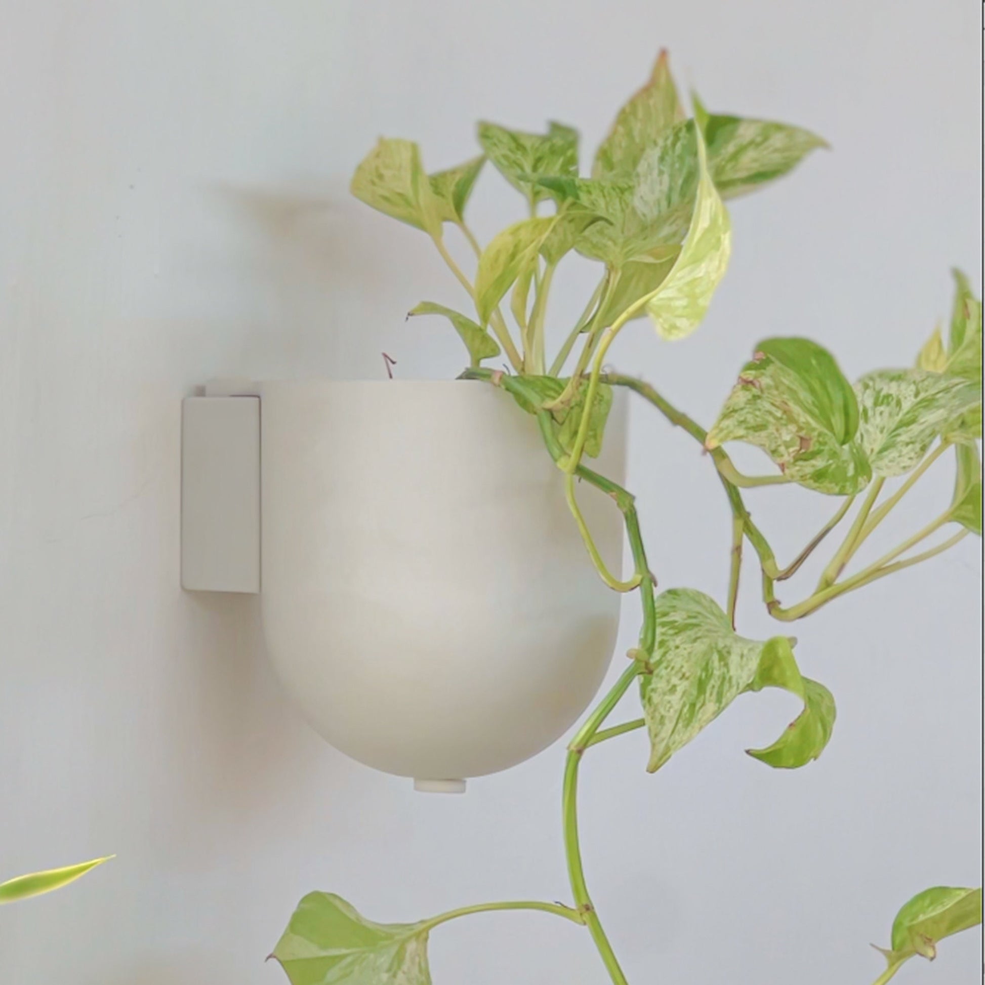 5.5" Wall Mounted Planter Pot | Mid-Century Wall Planter | Minimalist Indoor Wall Planter | Hanging Planter Pots | Upcycled Wall Planter Pot
