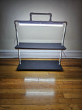LED Grow Light Plant Stand with two Shelves & Two 10 W Full-Spectrum Light Bars for Seed Starting