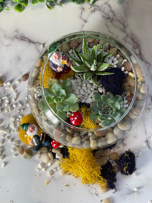 DIY Gnome Planter Kit,Terrarium Kit,DIY Succulent Garden, gift for her, team building, birthday gift, gnome, adult activity, Father's Day