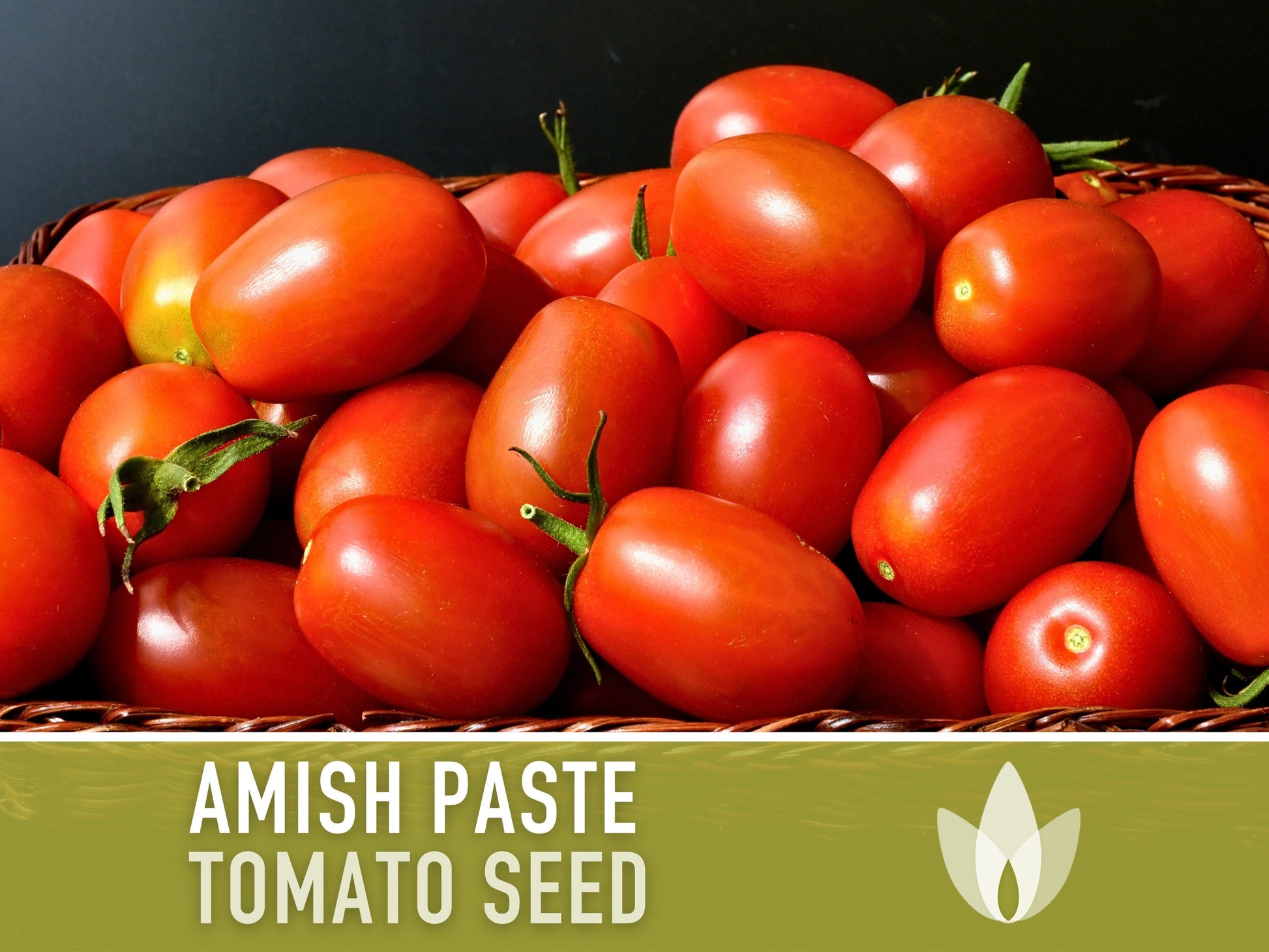 Amish Paste Tomato - 30 Seeds - Heirloom Tomato, Large Paste Tomato, Sauce Tomato, Plum Tomato, Oxheart Tomato, Homemade Catsup, OP, Non-GMO