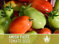 Amish Paste Tomato - 30 Seeds - Heirloom Tomato, Large Paste Tomato, Sauce Tomato, Plum Tomato, Oxheart Tomato, Homemade Catsup, OP, Non-GMO