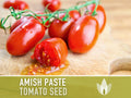Amish Paste Tomato - 30 Seeds - Heirloom Tomato, Large Paste Tomato, Sauce Tomato, Plum Tomato, Oxheart Tomato, Homemade Catsup, OP, Non-GMO