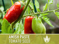Amish Paste Tomato - 30 Seeds - Heirloom Tomato, Large Paste Tomato, Sauce Tomato, Plum Tomato, Oxheart Tomato, Homemade Catsup, OP, Non-GMO
