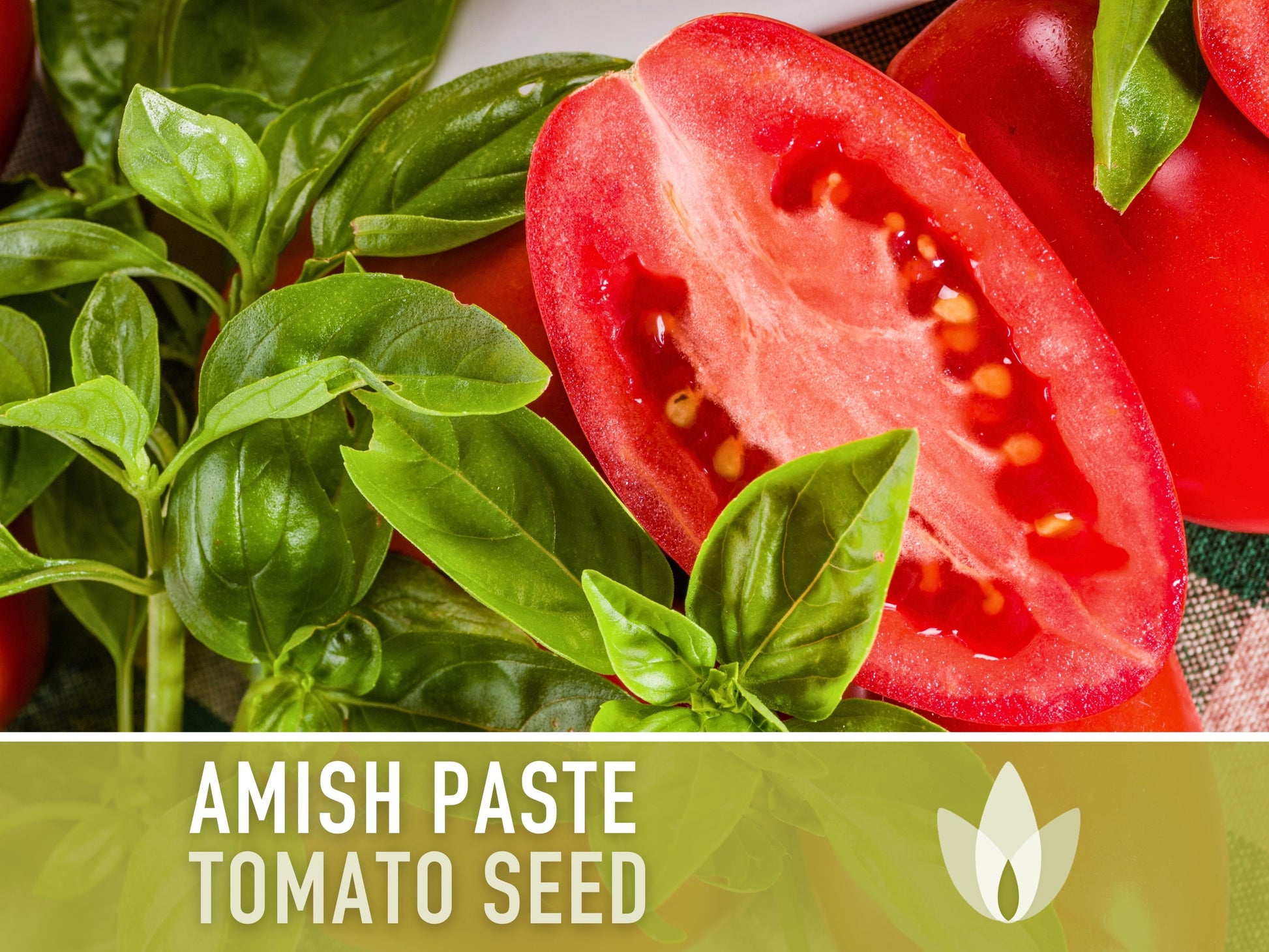 Amish Paste Tomato - 30 Seeds - Heirloom Tomato, Large Paste Tomato, Sauce Tomato, Plum Tomato, Oxheart Tomato, Homemade Catsup, OP, Non-GMO