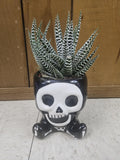 Halloween Monster Pots with Haworthia! Skeleton, Frankenstein, or a Mummy!