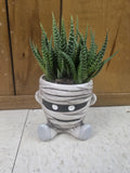 Halloween Monster Pots with Haworthia! Skeleton, Frankenstein, or a Mummy!