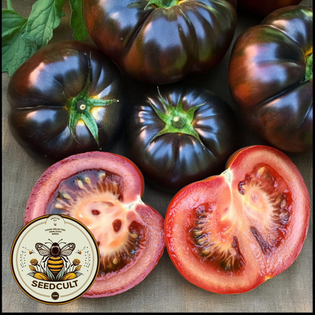 Black Beauty Beefsteak Tomato Seeds, Heirloom, Non-GMO, Solanum Lycopersicum, LY3625