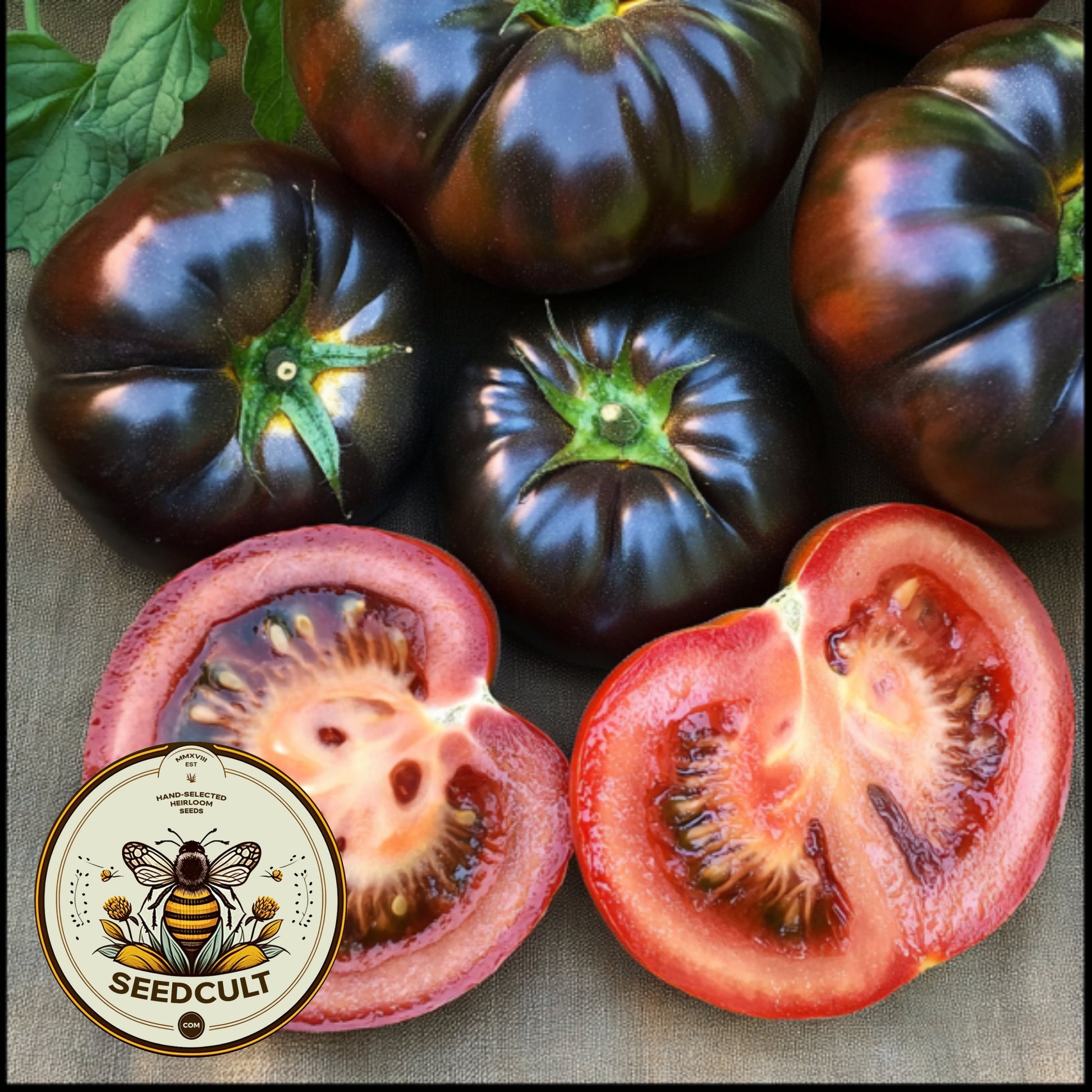 Black Beauty Beefsteak Tomato Seeds, Heirloom, Non-GMO, Solanum Lycopersicum, LY3625