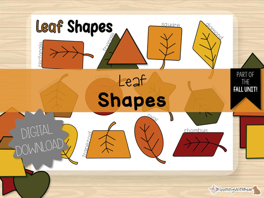 Leaf Shapes | Fall Activity | Autumn | Learning Shapes | Matching Shapes Activity | Preschool Printable | Homeschool | Montessori