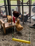Chicken Swing Poultry Run Rooster Hens Chicks Pet Parrots Entertainment cooped up/unable to free range due to weather/predators/ordinances