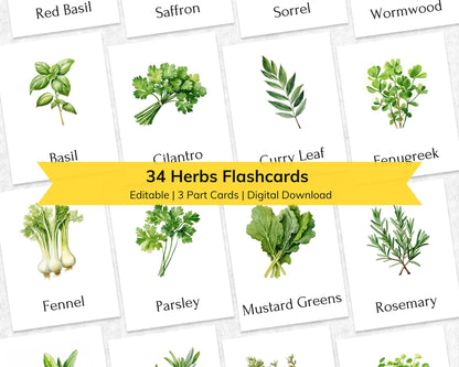 Editable Herb Montessori 3-Part Flashcards for Kids, Printable Nomenclature Toddler Flash Cards, Montessori Language Learning