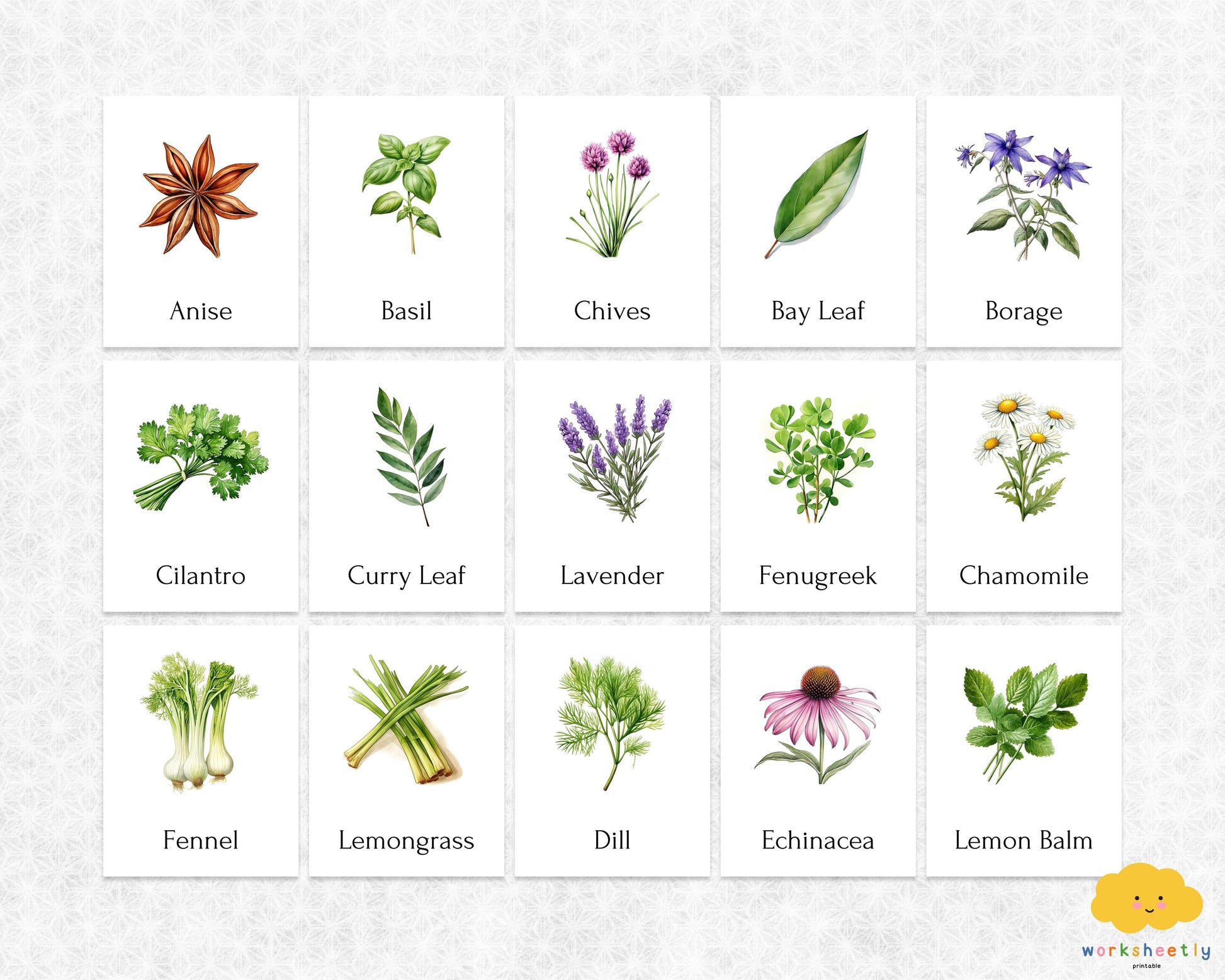 Editable Herb Montessori 3-Part Flashcards for Kids, Printable Nomenclature Toddler Flash Cards, Montessori Language Learning