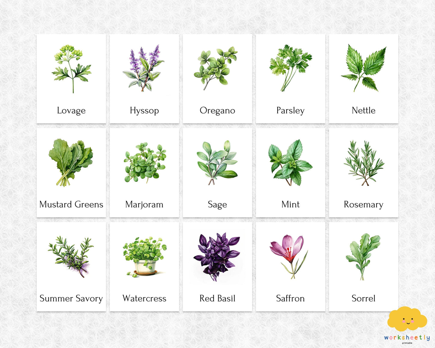 Editable Herb Montessori 3-Part Flashcards for Kids, Printable Nomenclature Toddler Flash Cards, Montessori Language Learning