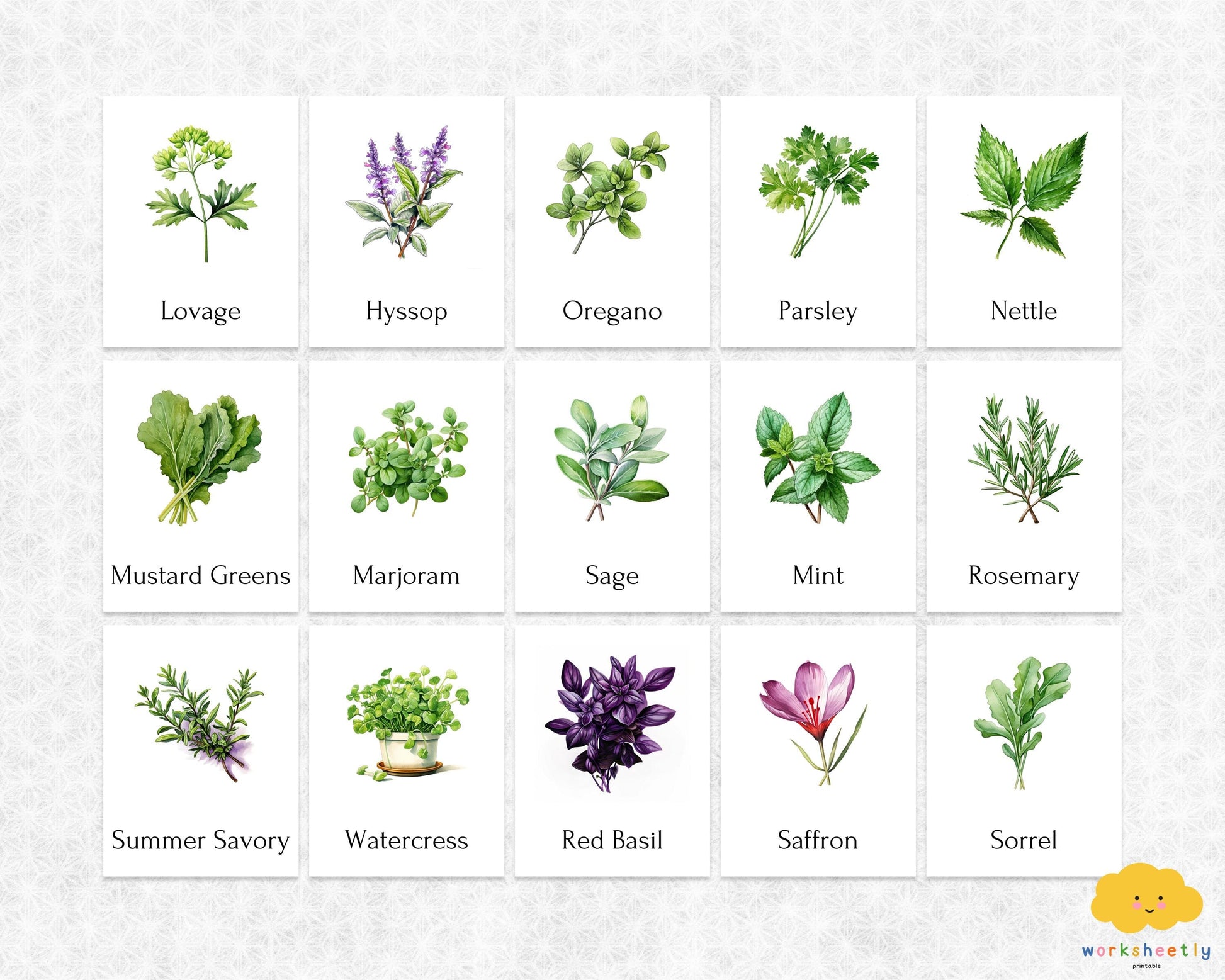 Editable Herb Montessori 3-Part Flashcards for Kids, Printable Nomenclature Toddler Flash Cards, Montessori Language Learning