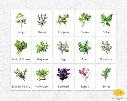 Editable Herb Montessori 3-Part Flashcards for Kids, Printable Nomenclature Toddler Flash Cards, Montessori Language Learning