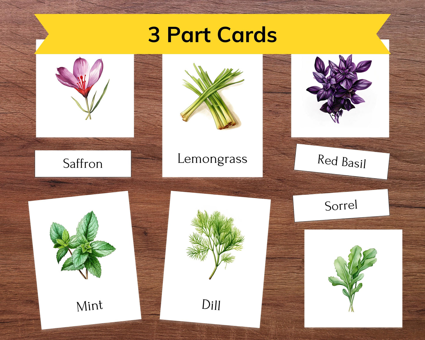 Editable Herb Montessori 3-Part Flashcards for Kids, Printable Nomenclature Toddler Flash Cards, Montessori Language Learning
