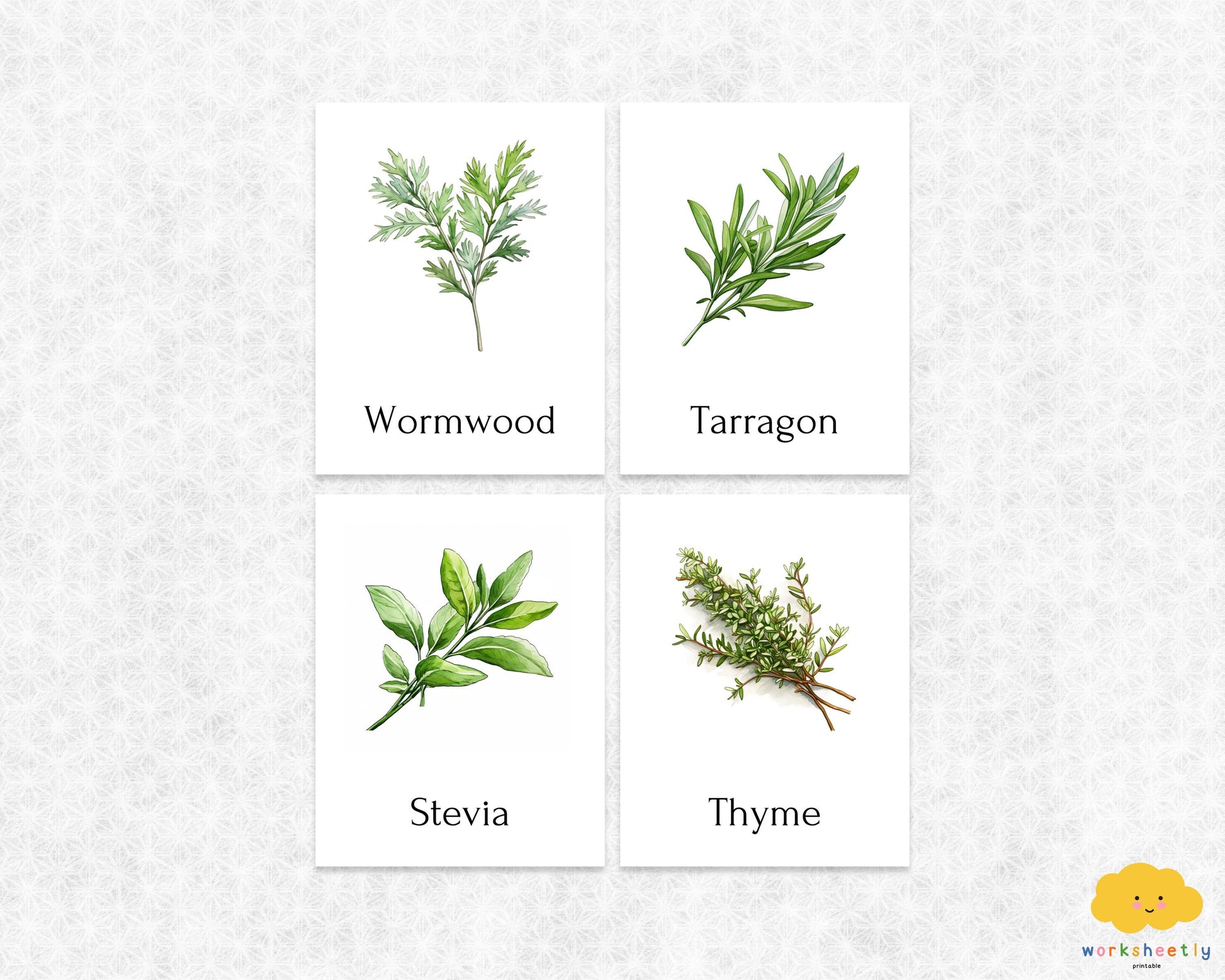 Editable Herb Montessori 3-Part Flashcards for Kids, Printable Nomenclature Toddler Flash Cards, Montessori Language Learning