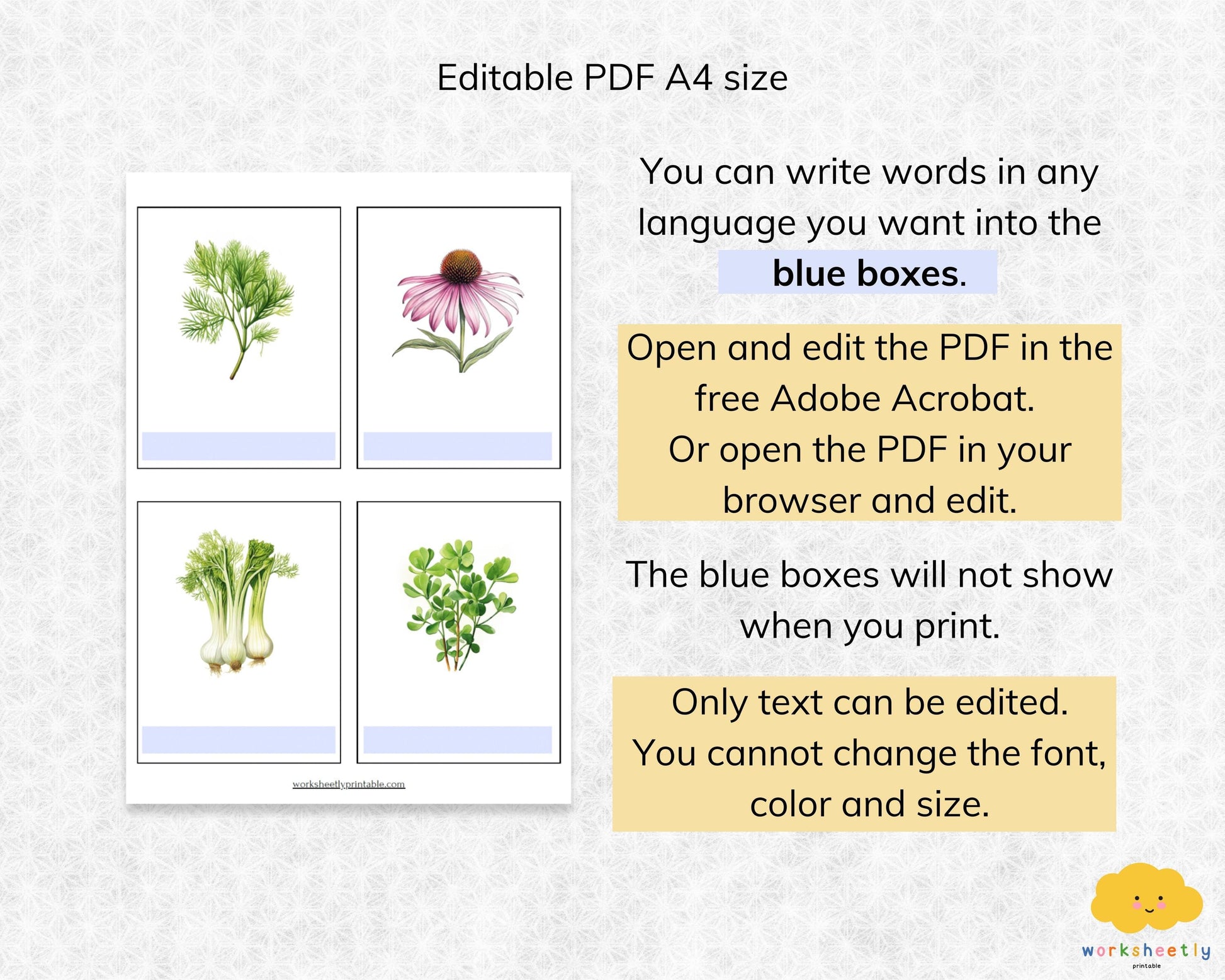 Editable Herb Montessori 3-Part Flashcards for Kids, Printable Nomenclature Toddler Flash Cards, Montessori Language Learning