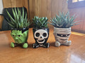 Halloween Monster Pots with Haworthia! Skeleton, Frankenstein, or a Mummy!
