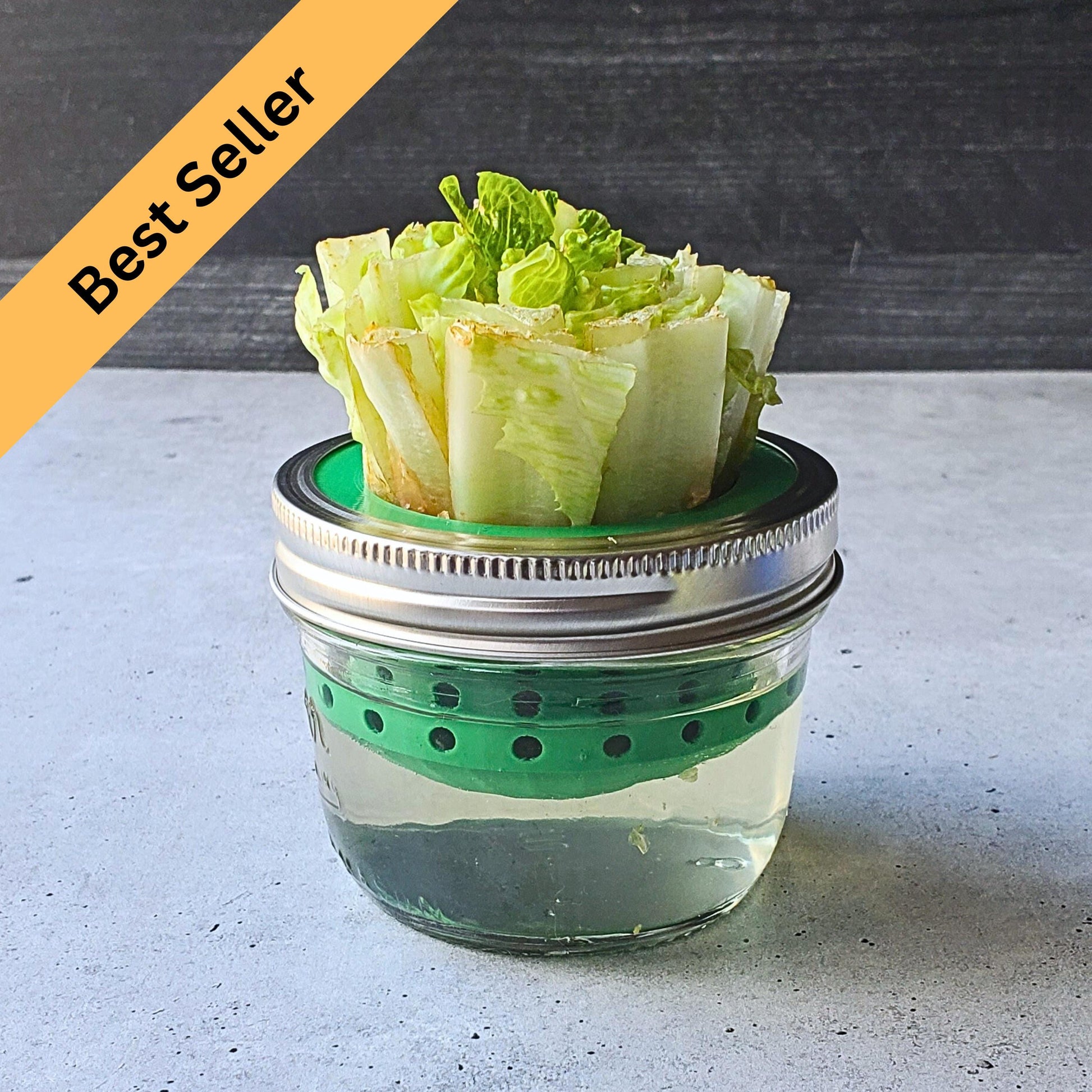 Lettuce and Celery Kitchen Re-Grow Farm | 3D Print for Wide Mouth Mason Jars | Hydroponics Net Pot | Kratky | Indoor Gardening