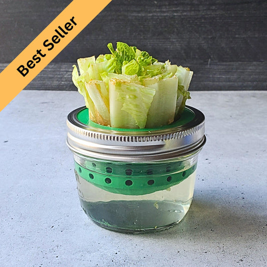 Lettuce and Celery Kitchen Re-Grow Farm | 3D Print for Wide Mouth Mason Jars | Hydroponics Net Pot | Kratky | Indoor Gardening