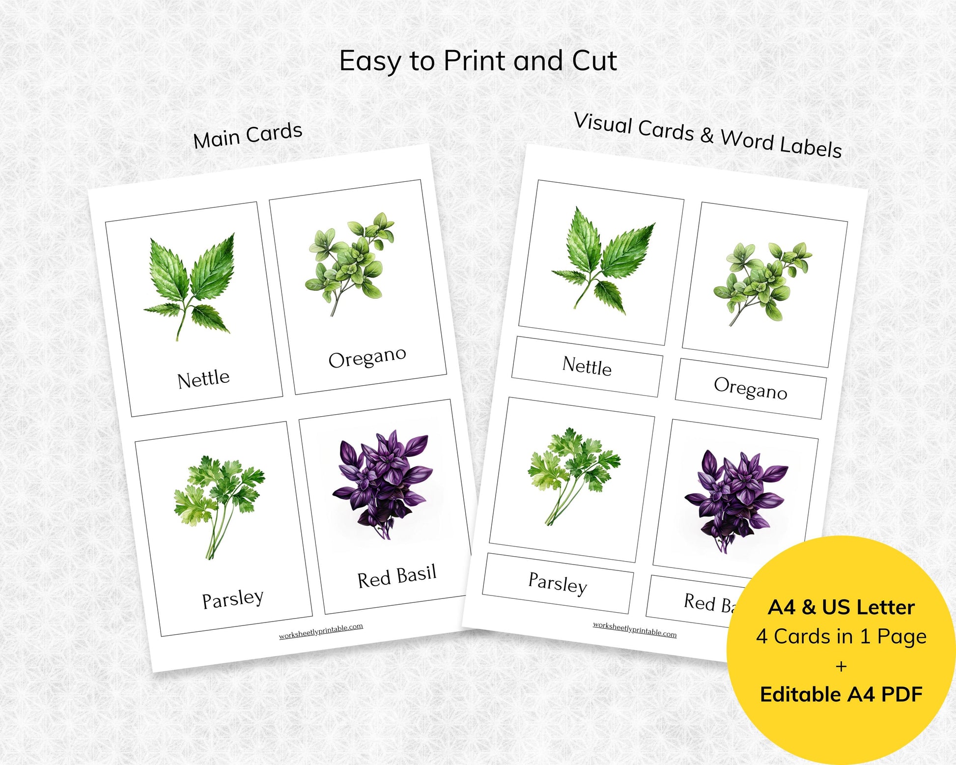 Editable Herb Montessori 3-Part Flashcards for Kids, Printable Nomenclature Toddler Flash Cards, Montessori Language Learning