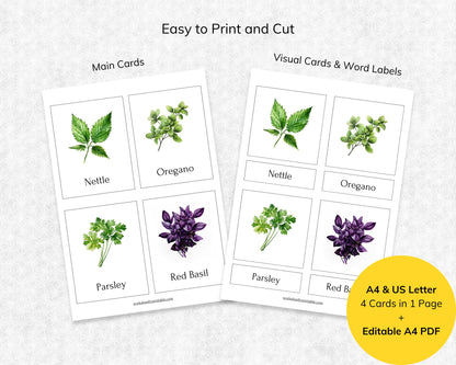 Editable Herb Montessori 3-Part Flashcards for Kids, Printable Nomenclature Toddler Flash Cards, Montessori Language Learning