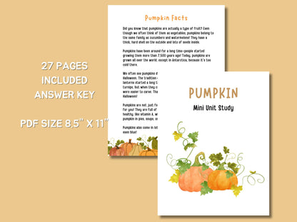 Pumpkin Unit Study, Educational Activities for Preschool, Science, Life Cycle, Anatomy, Homeschool, Montessori,Fall worksheet