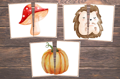 Fall Matching Toddler Activity,Autumn Matching, Montessori, Homeschool Resource, Pumpkins, Acorns, Woodland Creatures