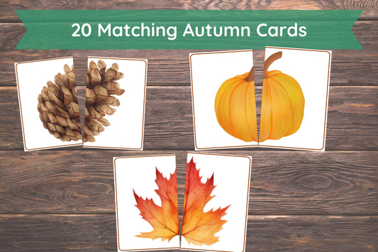 Fall Matching Toddler Activity,Autumn Matching, Montessori, Homeschool Resource, Pumpkins, Acorns, Woodland Creatures