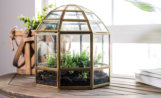 Urban Born Large Terrarium Birdcage, Glass and Metal Indoor Display Case, Unique Gift Idea, Succulent Container, Orchid Planter, Home Decor.